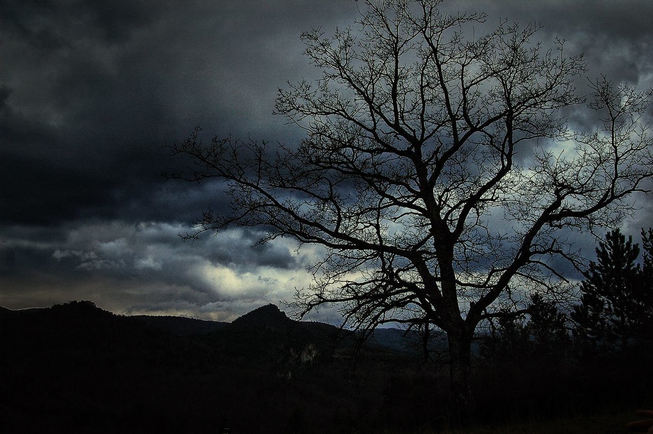 silhouette, sky, bare tree, tree, tranquility, tranquil scene, scenics, cloud - sky, branch, beauty in nature, nature, low angle view, cloudy, cloud, dusk, mountain, landscape, outdoors, non-urban scene, idyllic