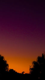 Silhouette trees against clear sky at sunset