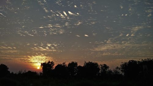 Silhouette trees against sky during sunset