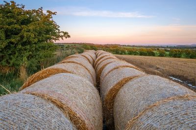 View of hay bales on the field