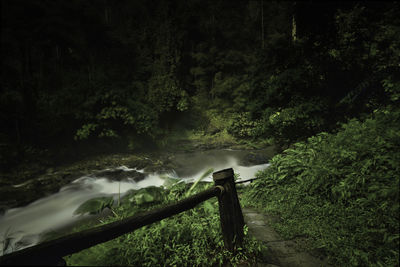 Scenic view of waterfall in forest