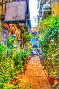 Footpath amidst buildings in city