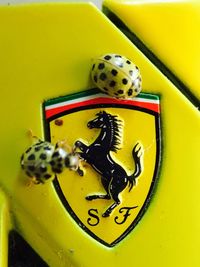 Close-up of yellow snake