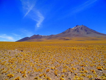 Scenic view of desert against blue sky