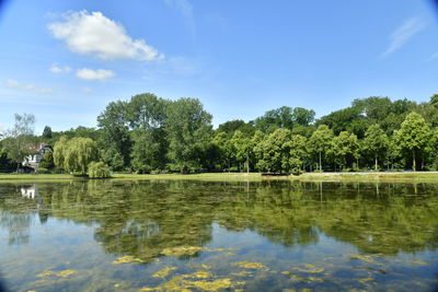 Scenic view of lake by trees against sky