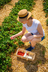 High angle view of man working on field