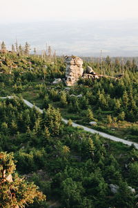 High angle view of trees and rocks against sky