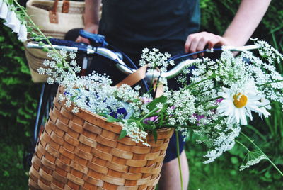 Close-up of white flowers in wicker basket on bicycle