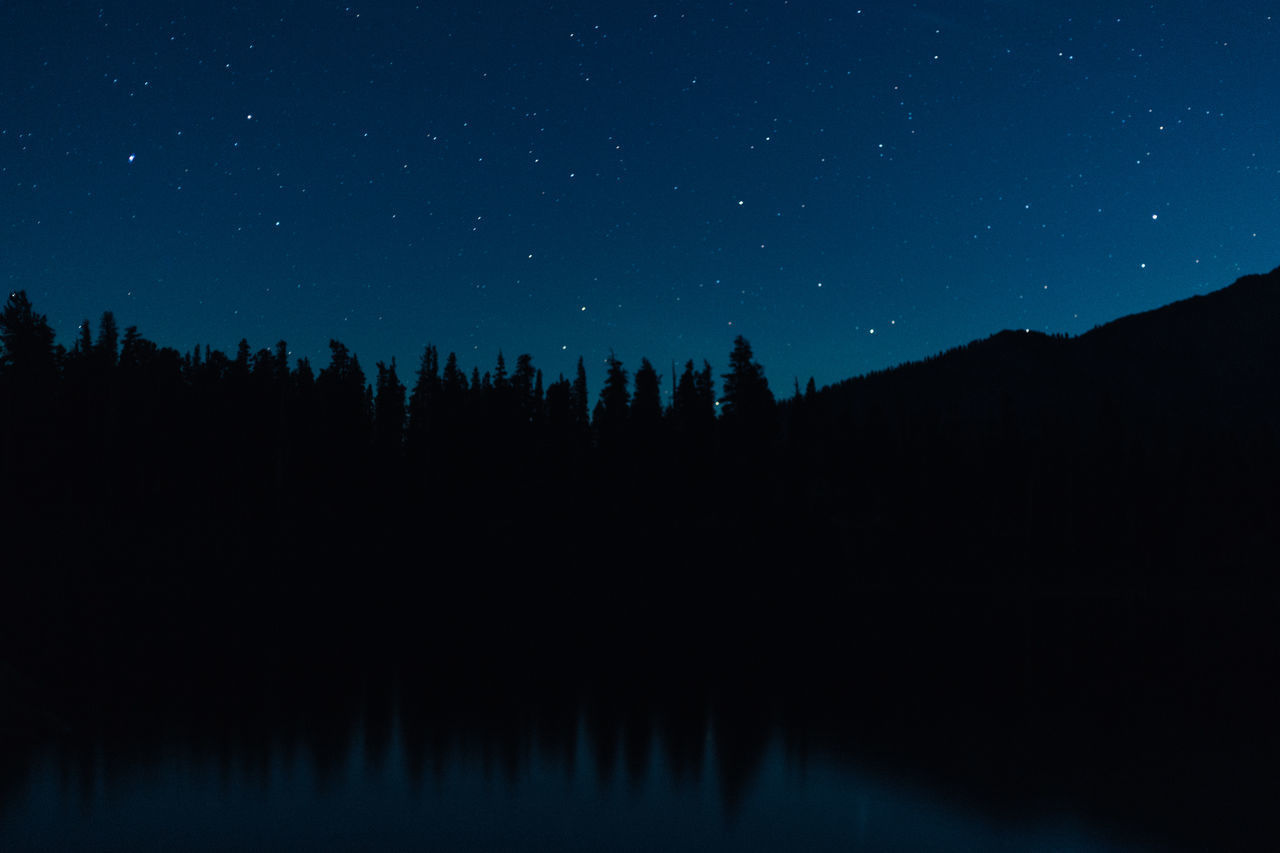 SILHOUETTE TREES AGAINST CLEAR SKY AT NIGHT