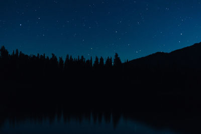 Silhouette trees against sky at night