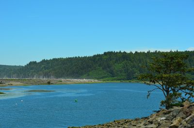 Scenic view of sea against clear blue sky