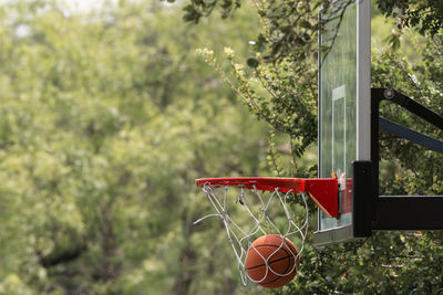Close-up of basketball hoop on field