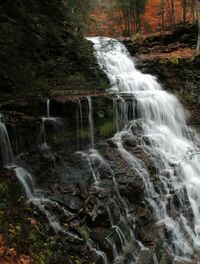 Waterfall in forest