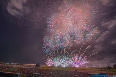 Low angle view of firework display at night