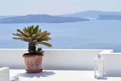 Potted plant on table by sea against sky