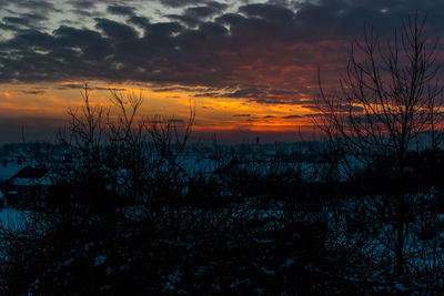 Silhouette trees by sea against sky during sunset