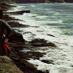 Scenic view of beach