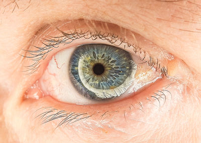 Close-up of human eye