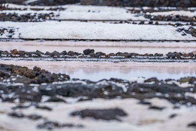 Canary salt pans or salt farms