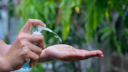 Close-up of hands holding plant