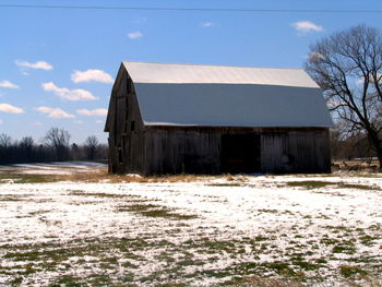 Bare trees and houses against the sky