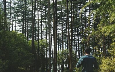 Rear view of man walking in forest