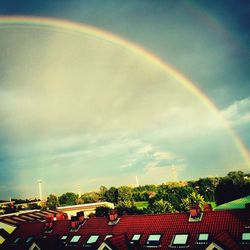 Rainbow over trees against cloudy sky