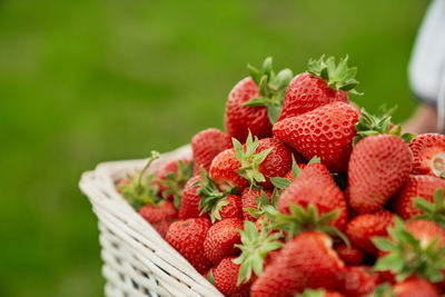 Close-up of strawberries in basket