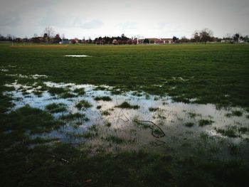 Scenic view of field against sky