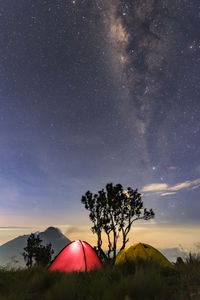 Tents and trees on field against sky at night
