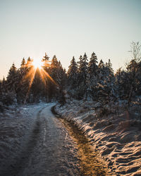 Road amidst trees against sky during sunset