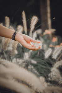 Cropped hand of woman holding snake