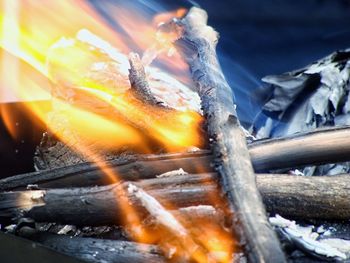 Close-up of burning fire