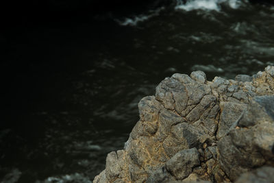 Close-up of rock formation on land