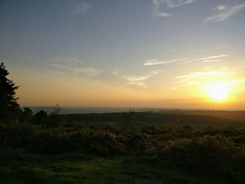 Scenic view of landscape at sunset