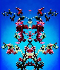 Low angle view of flowers against blue sky