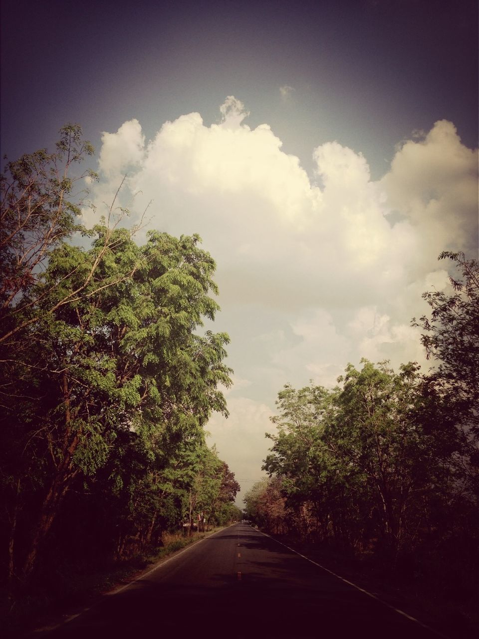 transportation, the way forward, road, tree, diminishing perspective, sky, road marking, car, vanishing point, mode of transport, country road, cloud - sky, land vehicle, windshield, nature, cloud, street, on the move, travel, empty