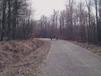 People walk down road passing through bare trees