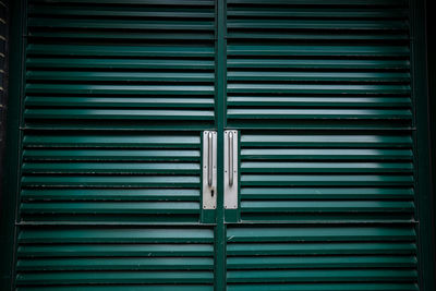 Iron doors painted green