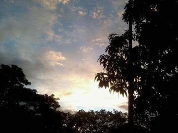 Low angle view of silhouette trees against sky