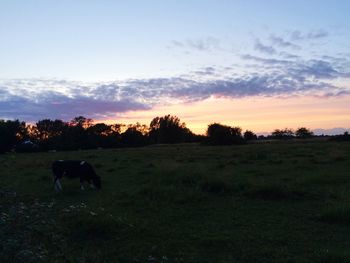 Scenic view of grassy field against cloudy sky