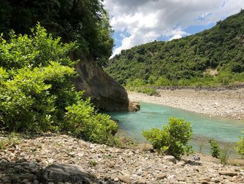 Scenic view of river amidst trees against sky