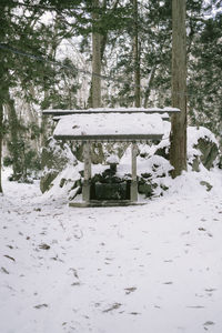 Snow covered field by trees in forest