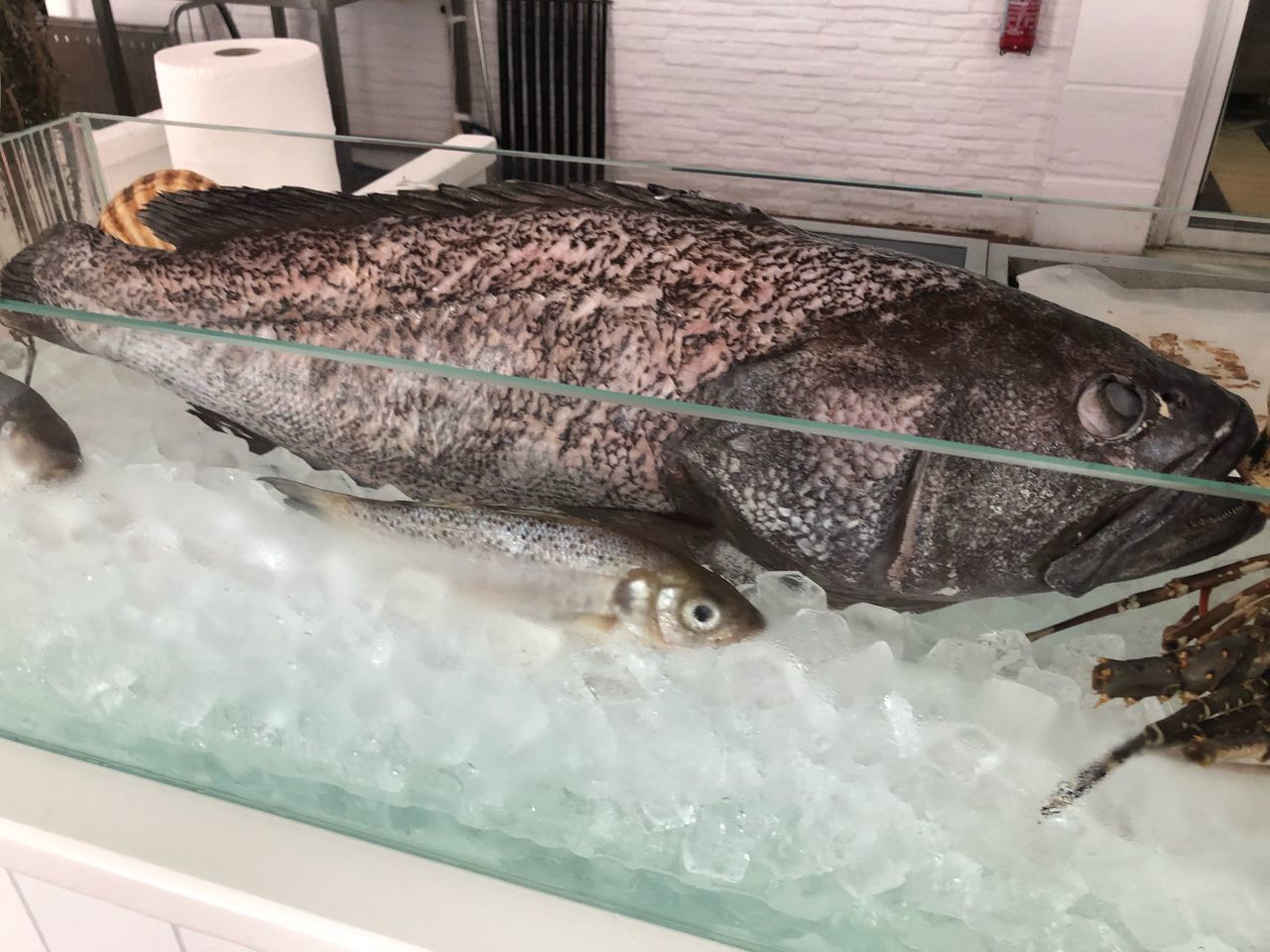 CLOSE-UP OF FISH FOR SALE AT MARKET STALL