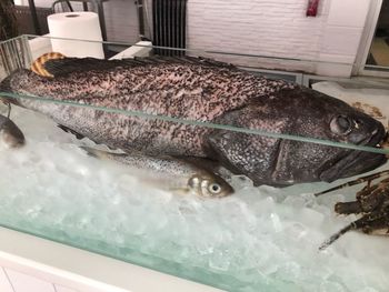 Close-up of fish for sale