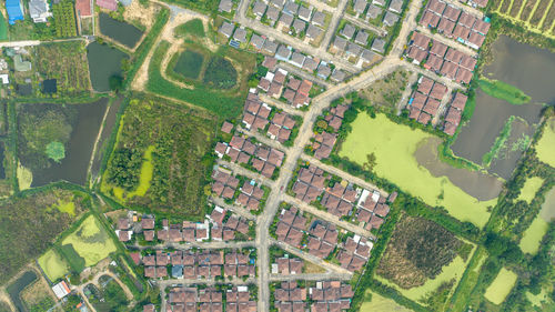 An aerial view of a residential housing neighborhood in nakhon pathom, thailand.