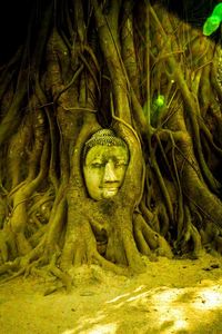 Statue of buddha in temple