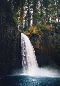 Scenic view of waterfall in forest