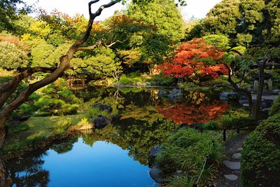 Reflection of trees in lake against sky