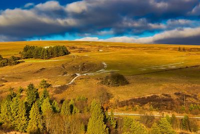 Scenic view of landscape against sky